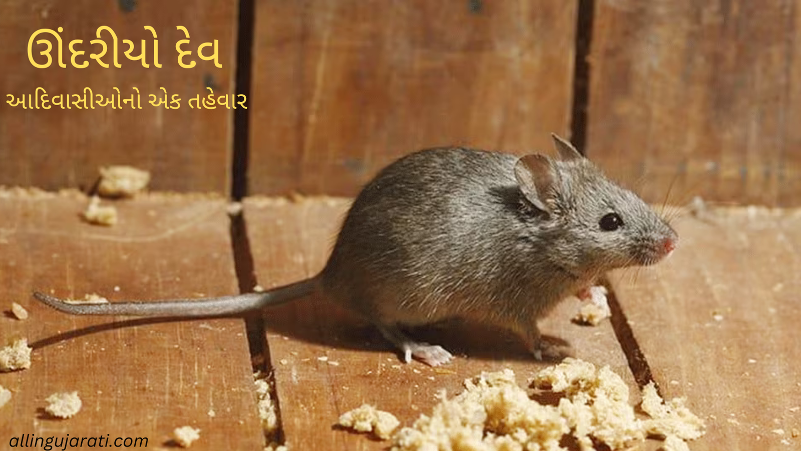 ઊંદરીયો દેવ
