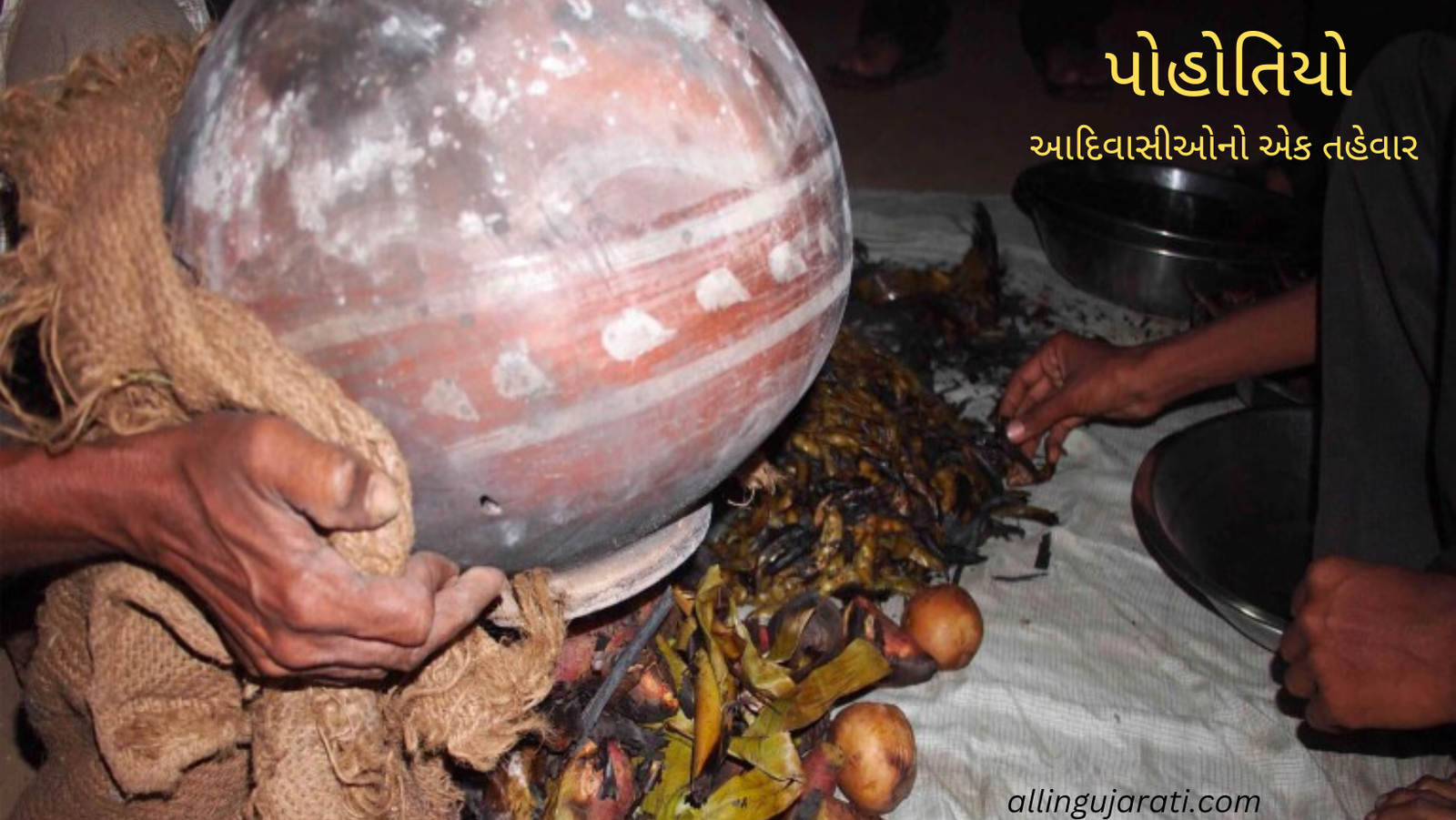 પોહોતિયો