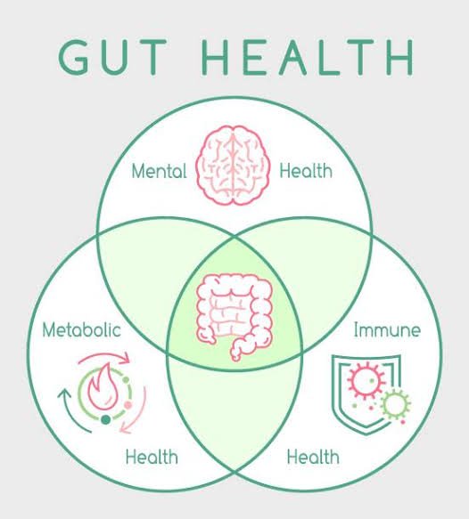 Gut health ( આંતરડાનું સ્વાસ્થ્ય)