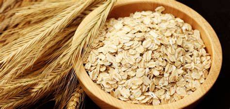 Oats ( ઓટ્સ )
